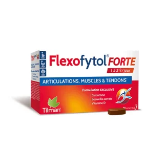 Flexofytol Forte Articulations Muscles Tendons 28 comprimés