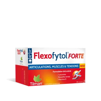 Flexofytol Forte Articulations Muscles Tendons 84 comprimés