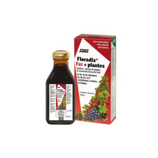 Floradix Fer + Plantes 250ml