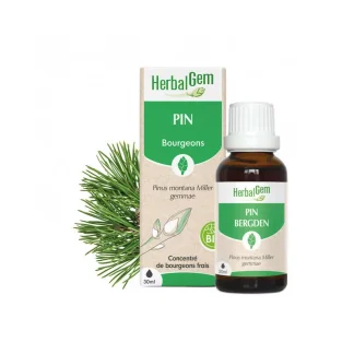 HerbalGem Bourgeons de Pin Bio 30ml