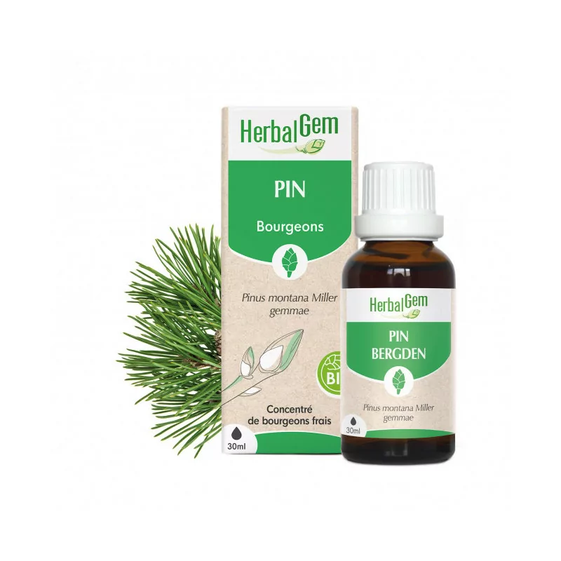 HerbalGem Bourgeons de Pin Bio 30ml
