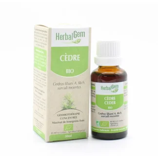HerbalGem Cèdre Macérat Bio 30ml