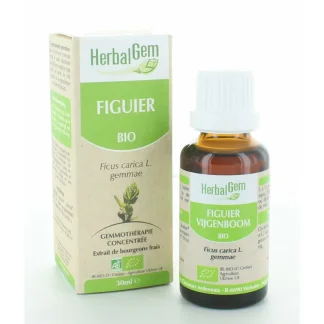 HerbalGem Figuier Bio 30ml