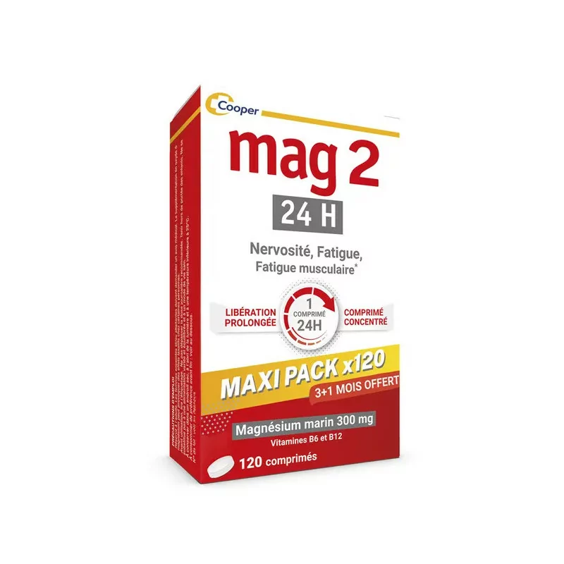 Mag 2 24H Maxi Format 120 comprimés