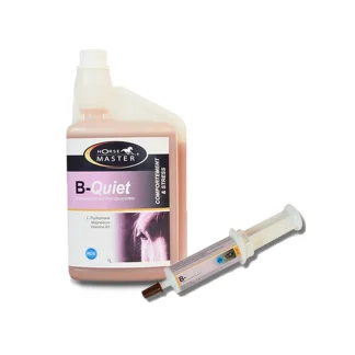 B-Quiet Horse Master