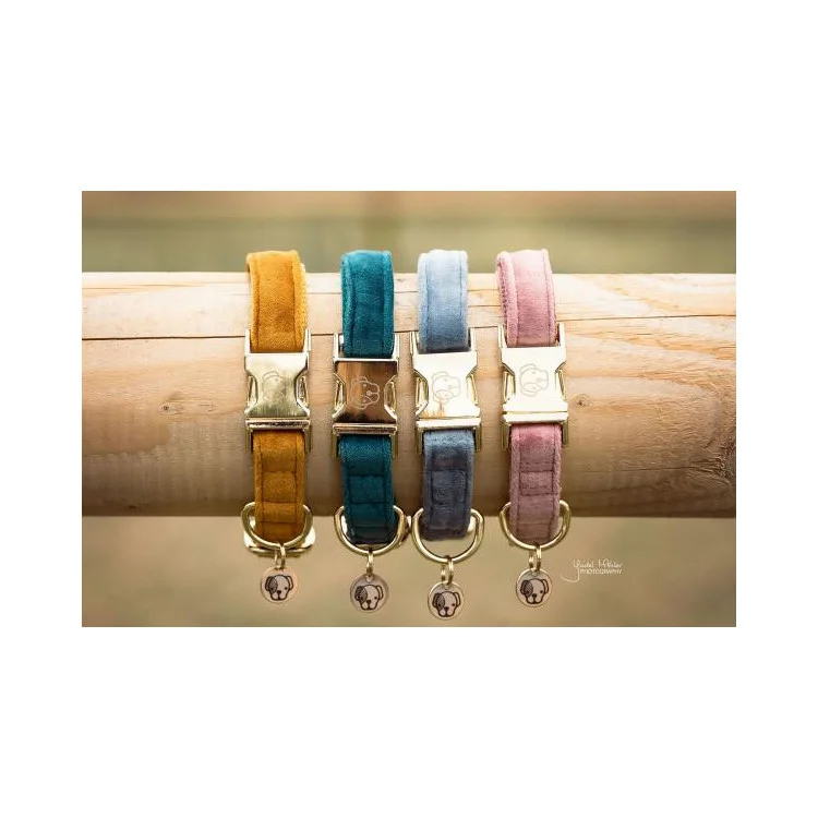 Collier pour chien Kentucky Velvet