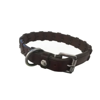 Collier Pour Chien Silver Crown Bredie