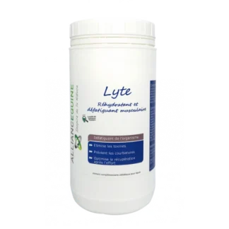 Lyte Alliance Equine