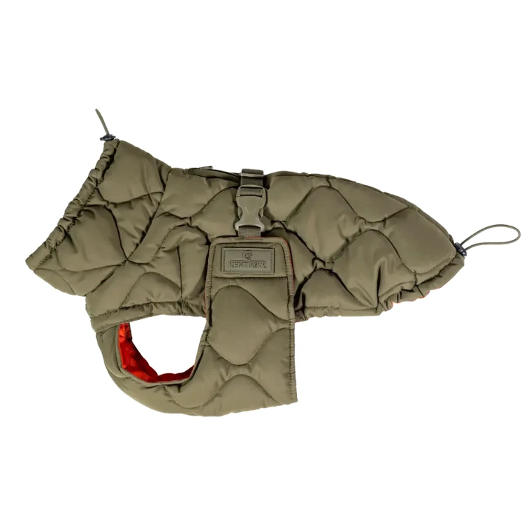 Manteau D'Hiver Kentucky Pour Chien Pina 160gr