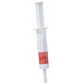 Performance Alliance Equine