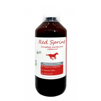 Red Sprint Alliance Equine