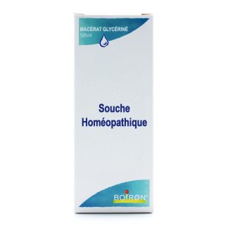 VITIS VINIFER.BG 1DH - Macérat Glycériné - 125ML