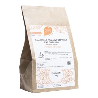 Ифимская римская ромашка, целая головка цветка